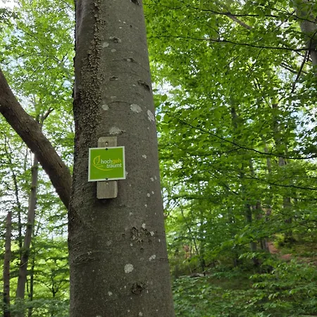 Mayers Waldhorn - Zwischen Reutlingen Und Tuebingen Kusterdingen