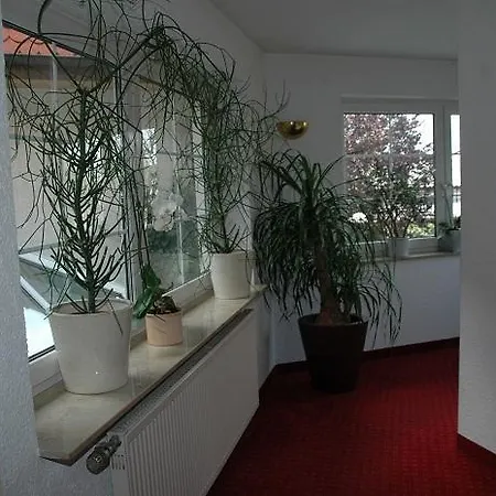 Mayers Waldhorn - Zwischen Reutlingen Und Tuebingen Kusterdingen